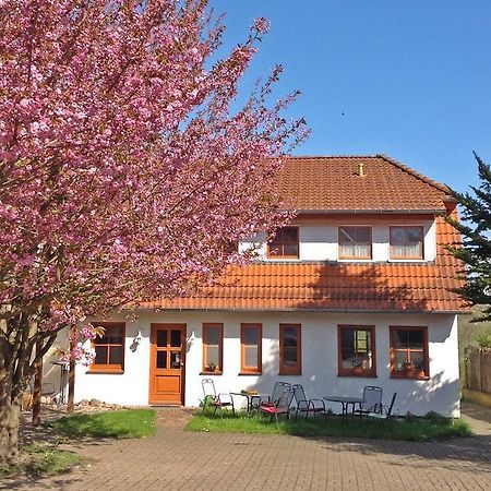 Landpension Zum Kleinen Urlaub Wredenhagen Phòng bức ảnh